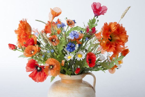 Feldblumen