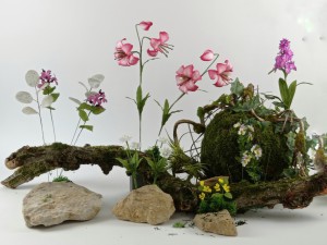 Nationalpark Sonderedition